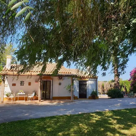 Finca El Romero, Finca A 15 Minutos De Sevilla Alcala del Rio Exterior photo