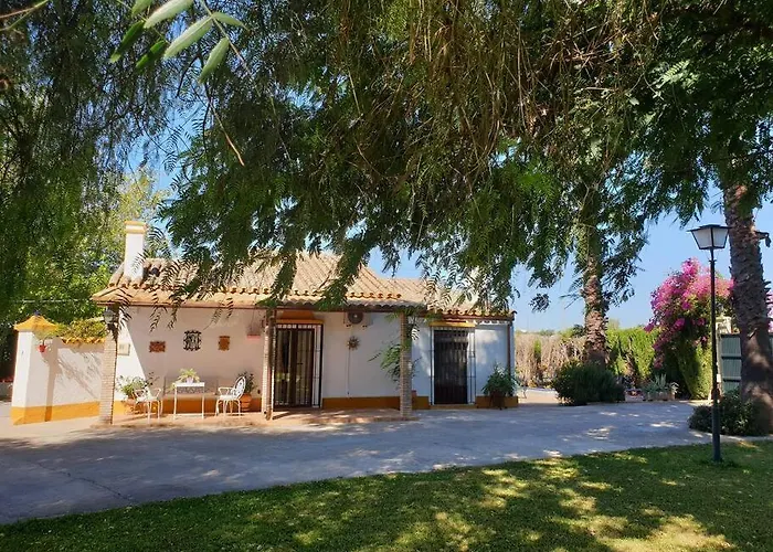Finca El Romero, Finca A 15 Minutos De Sevilla