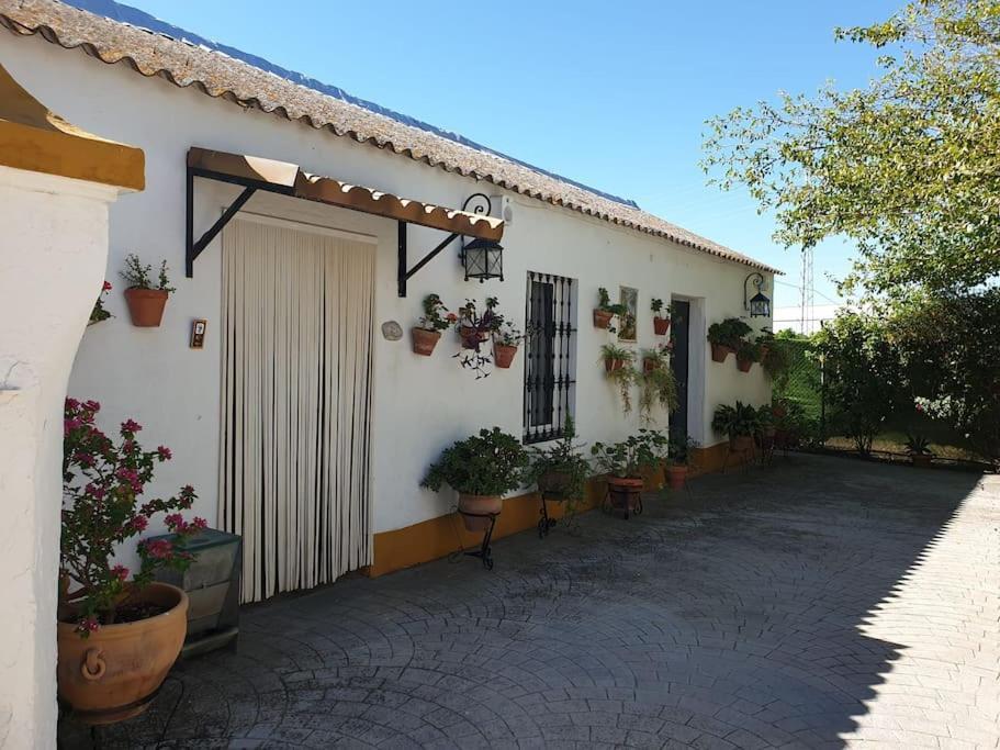 Vakantiehuis El Romero, A 15 Minutos De Sevilla Alcala del Rio